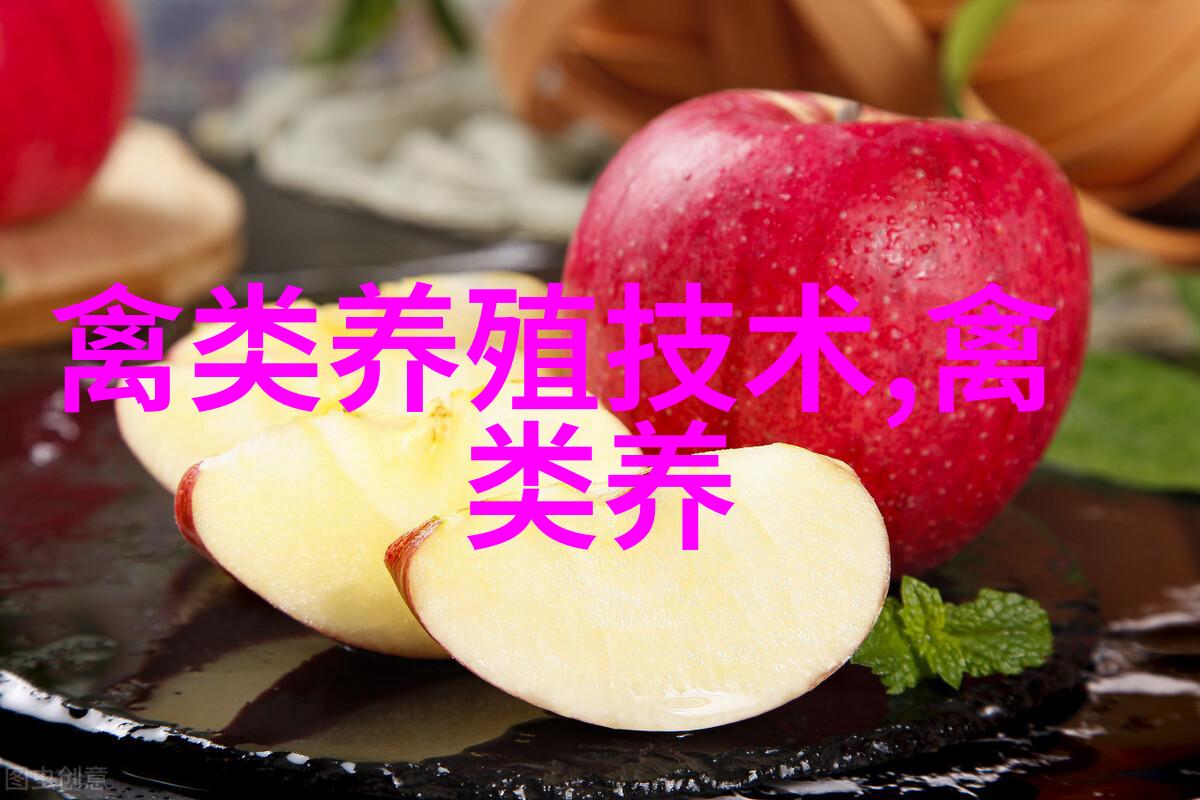 黑凤鸡饲养的技术
