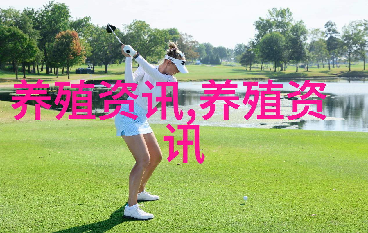 鸡蛋价格飞涨养殖单位仍需理性对待