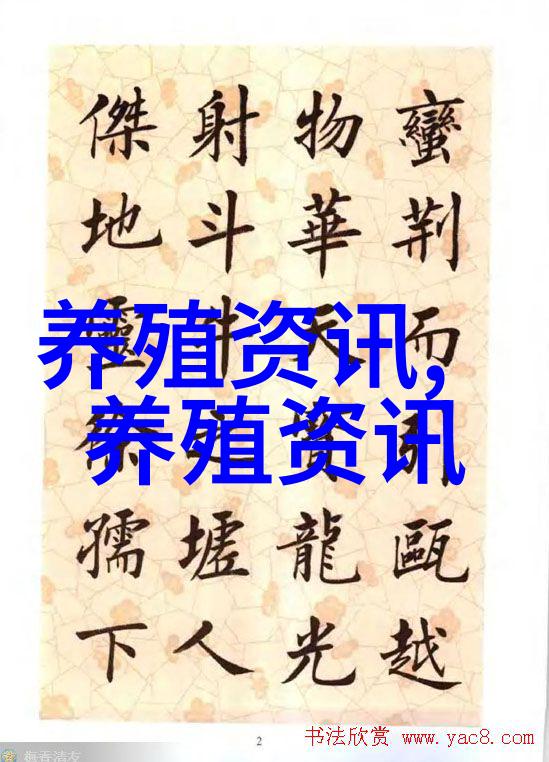 鸡专家教你机会